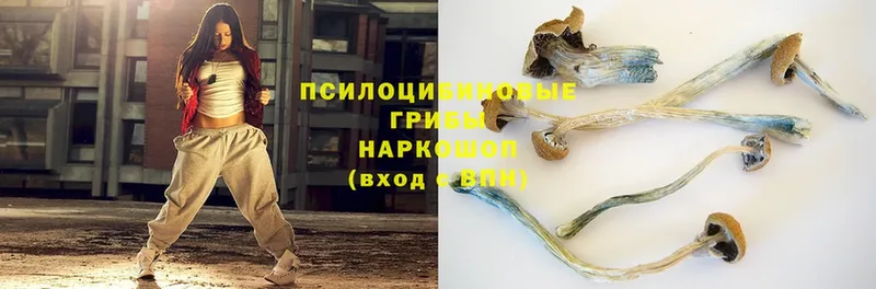 Галлюциногенные грибы мухоморы  купить наркотики цена  Новая Ляля 