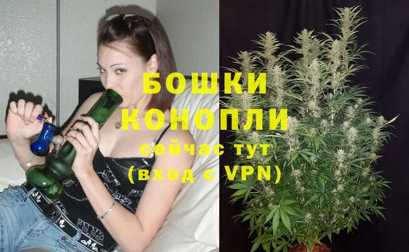 Бошки Шишки OG Kush  Новая Ляля 